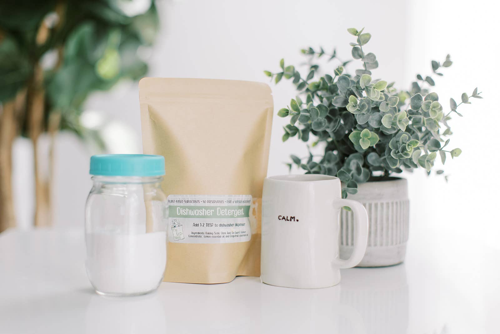 Natural powder dishwasher detergent with mug and plant